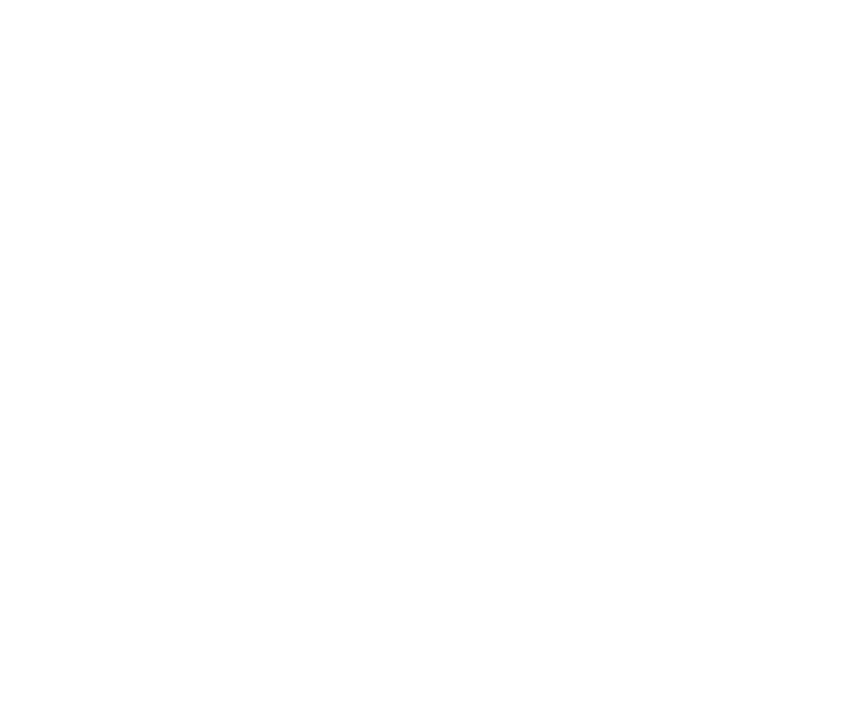 Homy Store Logo
